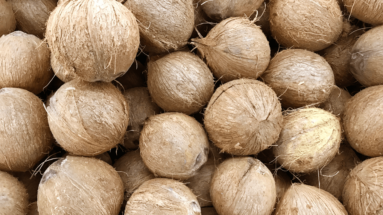 Coconut for floral sweet, natural soaps in Dubai