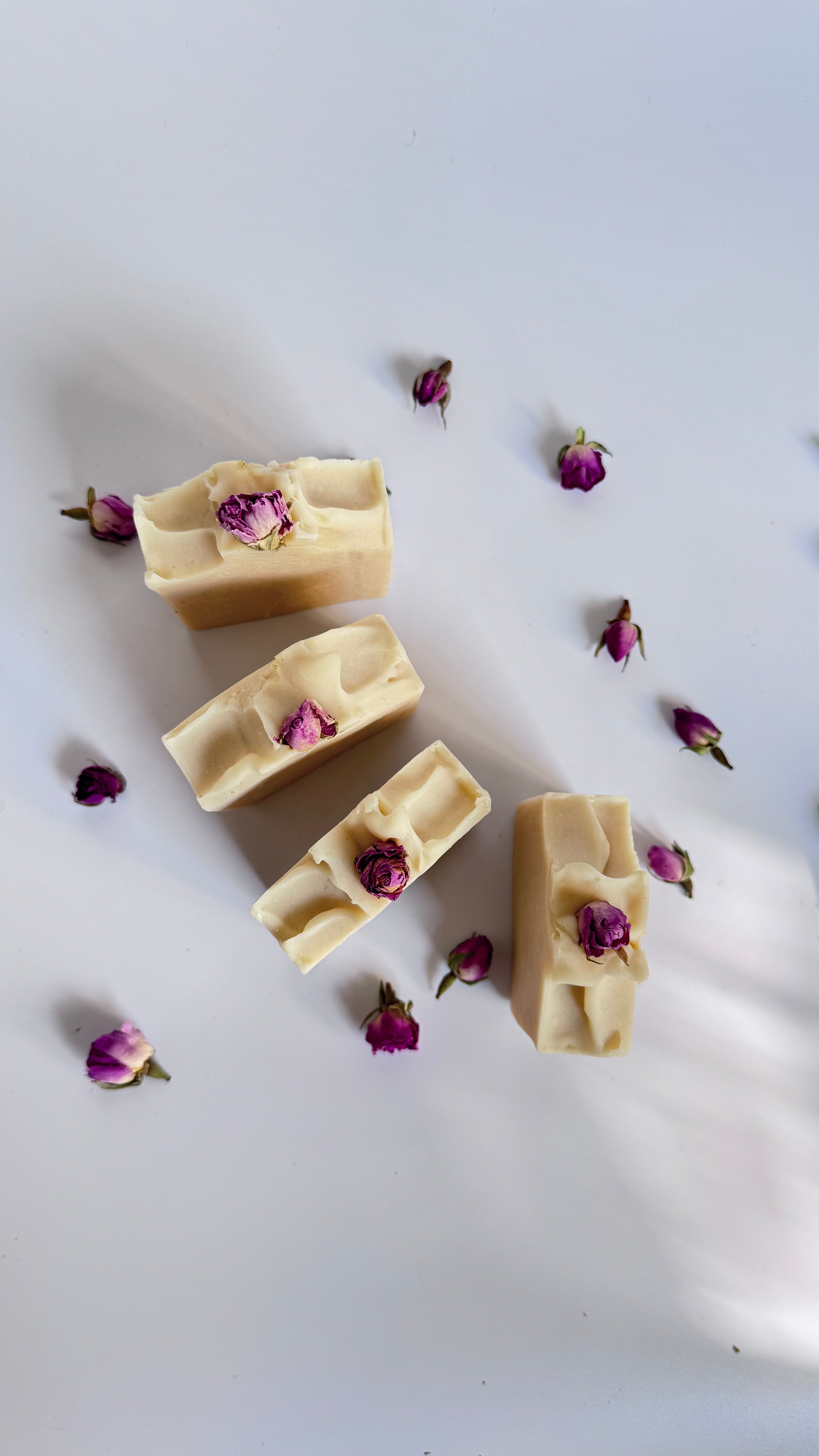 Four white beige cream coconut milk natural soap bars in circle with dried pink roses on a white surface 