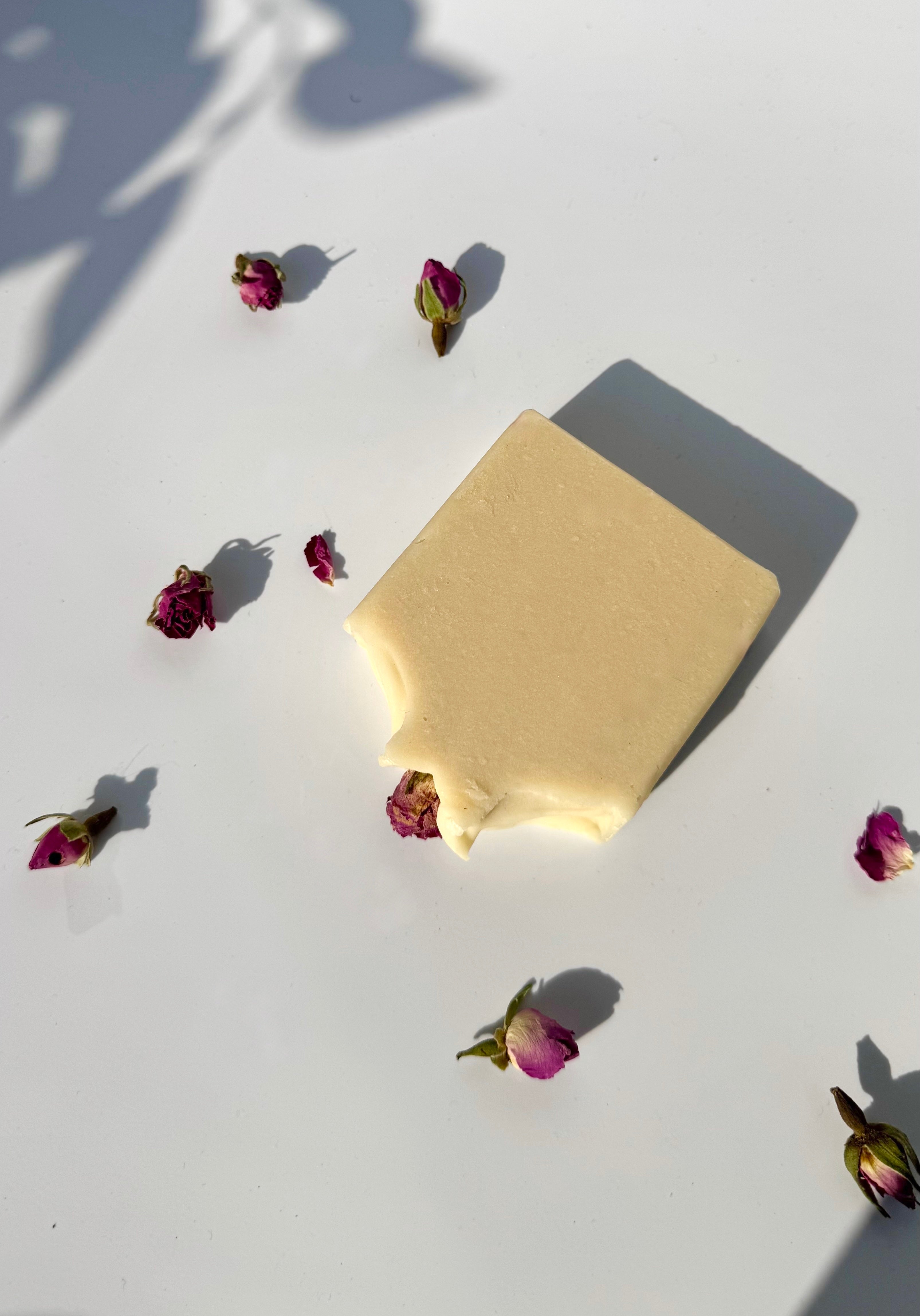White beige cream coconut milk natural soap bar from above with dried pink roses on a white surface with shadow leaves