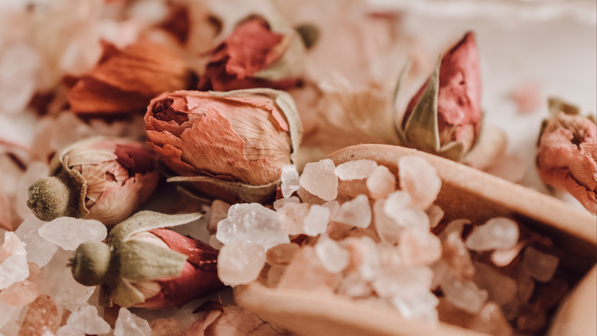 Close-up of dried flowers and seeds with a soft focus background
