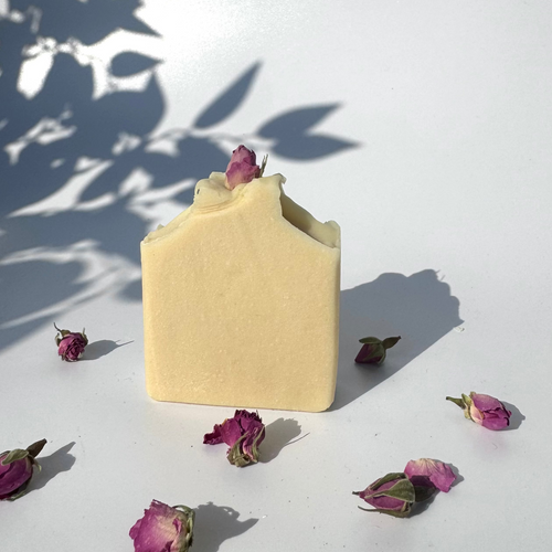 White beige cream coconut milk natural soap bar with dried pink roses on a white surface with shadow leaves